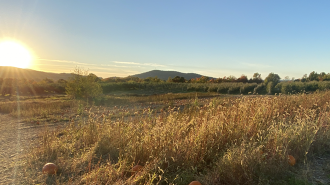 Image: Fishkill Farms Fall Harvest Festivals