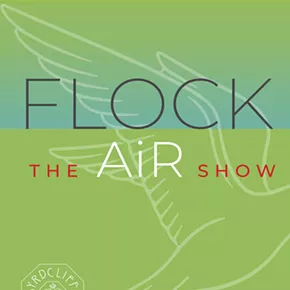 Image: "Flock: The AiR Show"