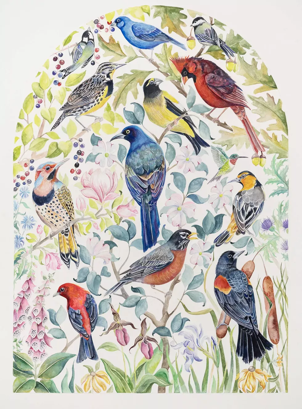 Backyard Birds of the Northeast, Robin Crofut-Brittingham, 22 x 30 watercolor on paper.