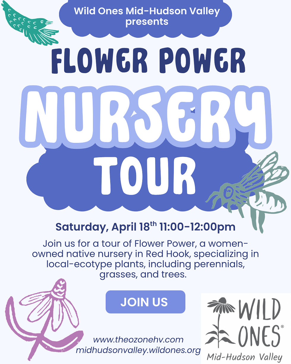 Flower Power Nursery Tour