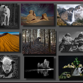 Image: "Focus on Photographers III'