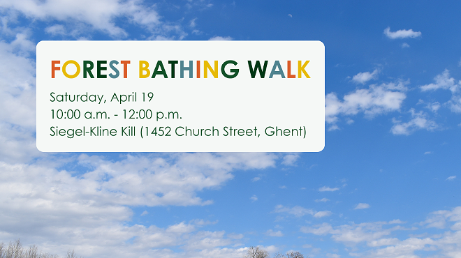 Image: Forest bathing walk