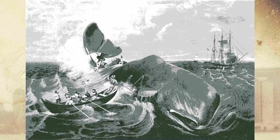 Capturing a sperm whale. Whaleship Superior, 1835 aquatint engraving by William Page from an original painting by Cornelius Hulsart.