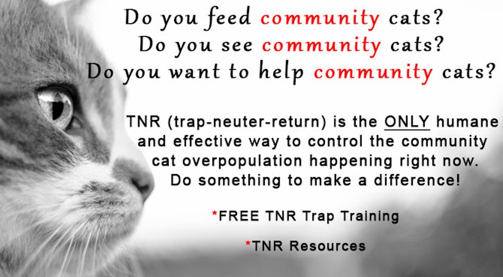 Free Public TNR Training and Discussion