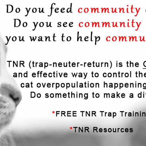 Free Public TNR Training and Discussion