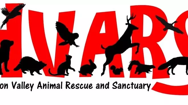 Image: Free Rabies Vaccination Clinic