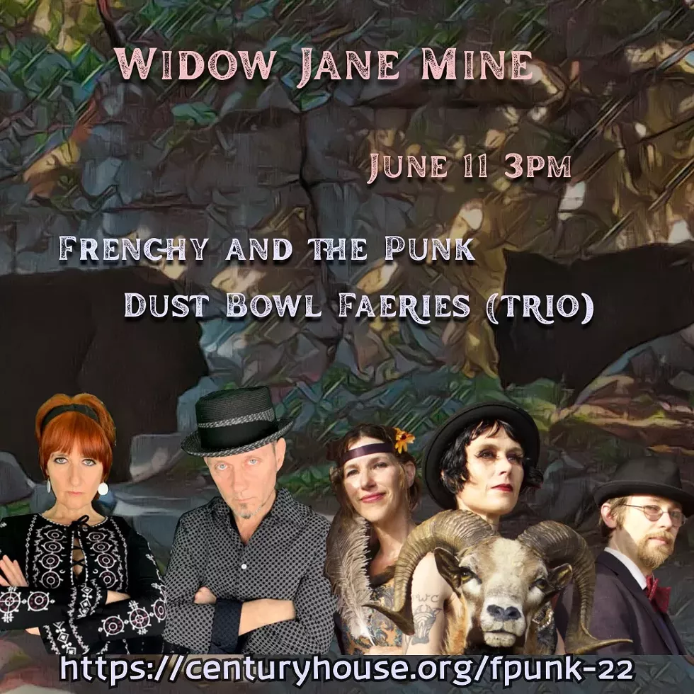 Frenchy and the Punk / Dust Bowl Faeries (trio)