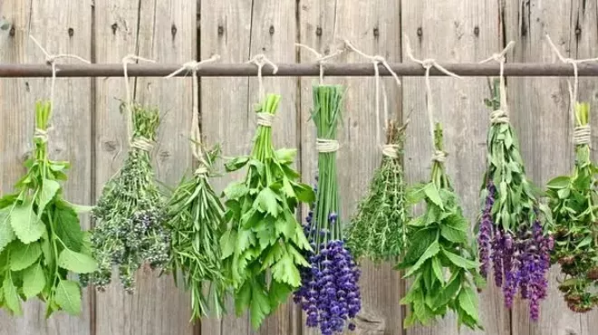 Image: Friday Festivities: Herbs and Cures