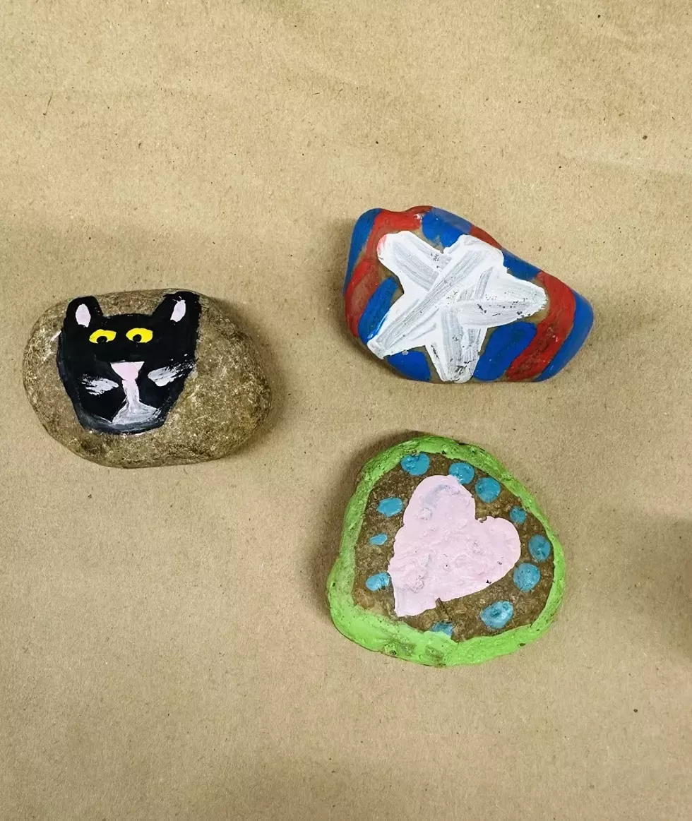 saturday_special_painted_rocks.webp