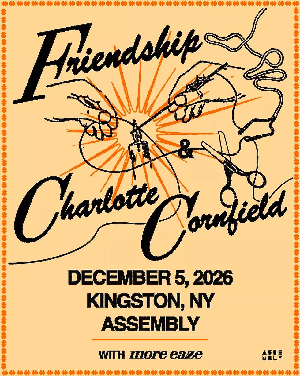 friendship___charlotte_cornfield.webp
