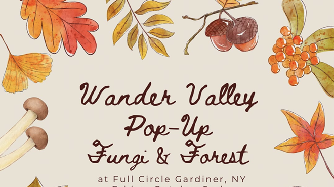 Image: Fungi & Forest with Wander Valley