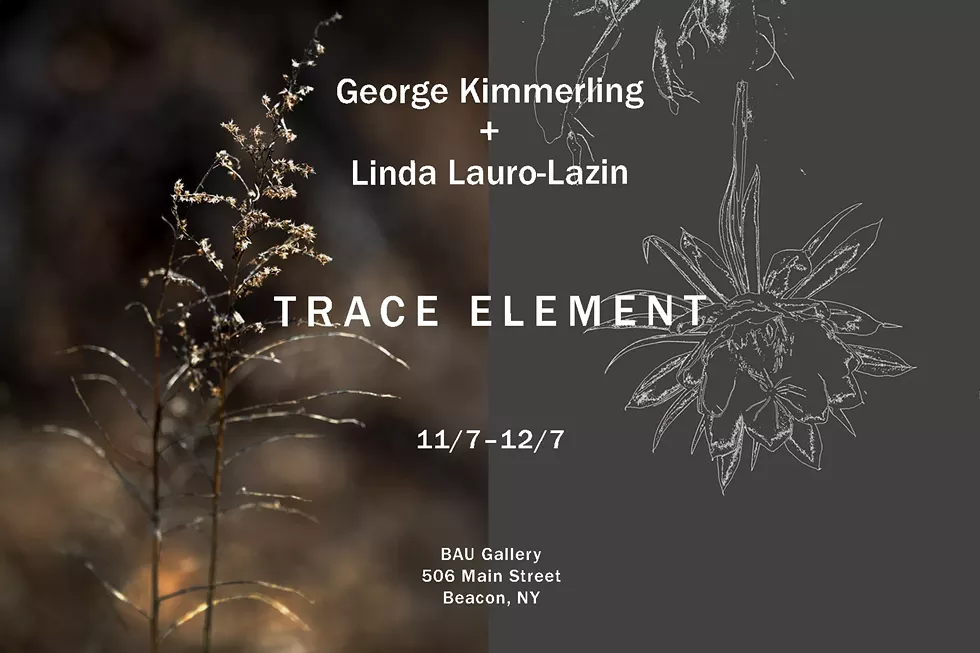 Trace Element at Bau Gallery 11/7&ndash;12/7