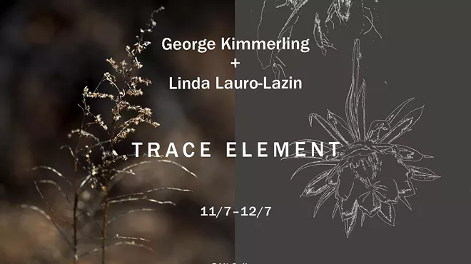 Image: George Kimmerling and Linda Lauro-Lazin: Trace Element