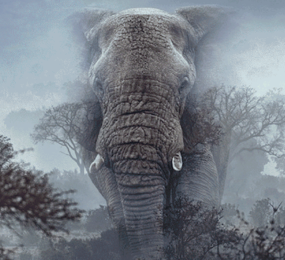 ghostelephant_1.png