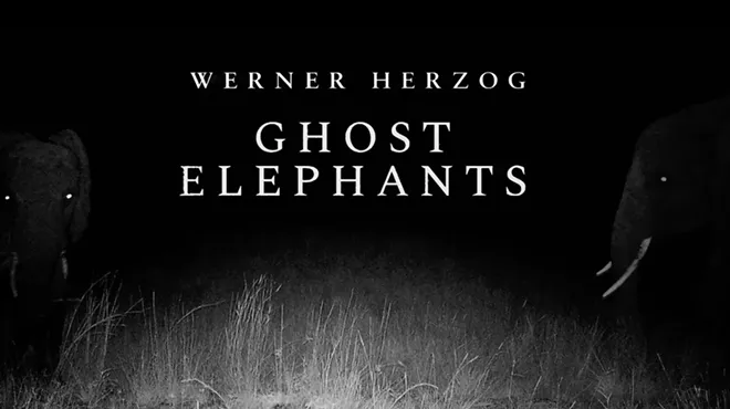 Image: Ghost Elephants