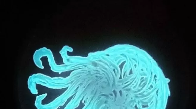 Image: Glow Lab: Painting with Bioluminescence at That Creative Space in Beacon, NY (Adults + Familes)