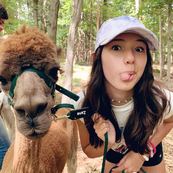 Have fun with alpacas and llamas!
