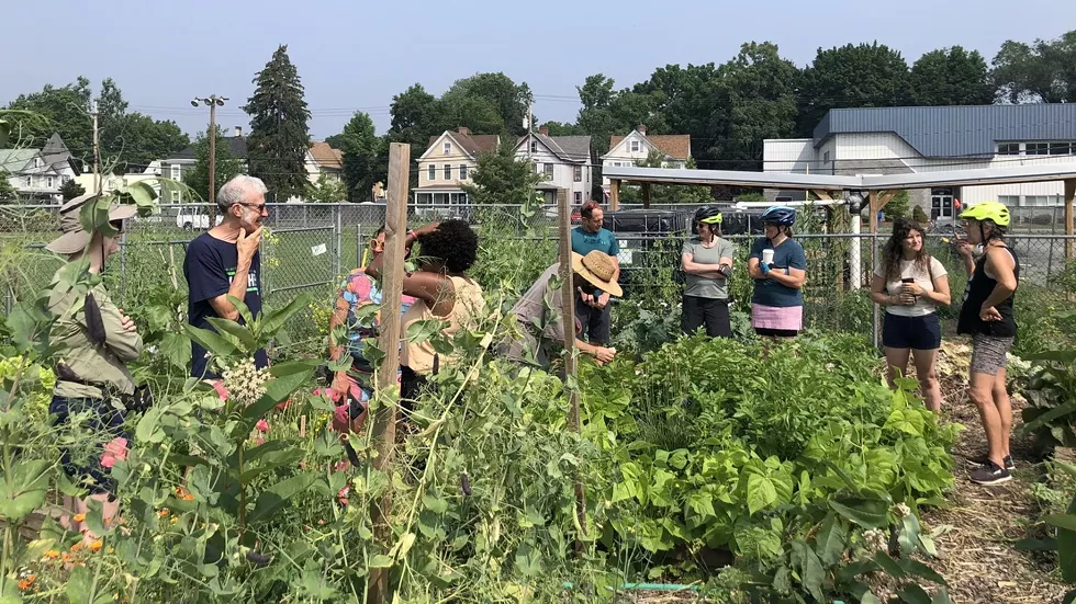 The Barmann Park Garden