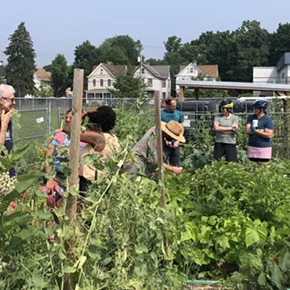 Image: Grow Well Open Gardens