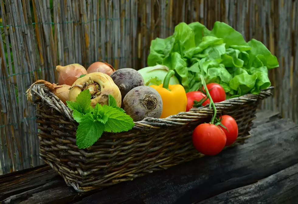 congerdesign-vegetables-752153.webp