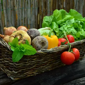 Image: Growing Your Own Food: Harvesting Your Hard Work