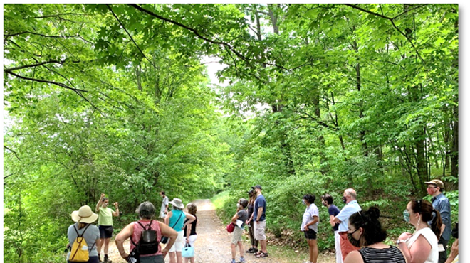 Image: Guided Forest Bathing with Mother Earth