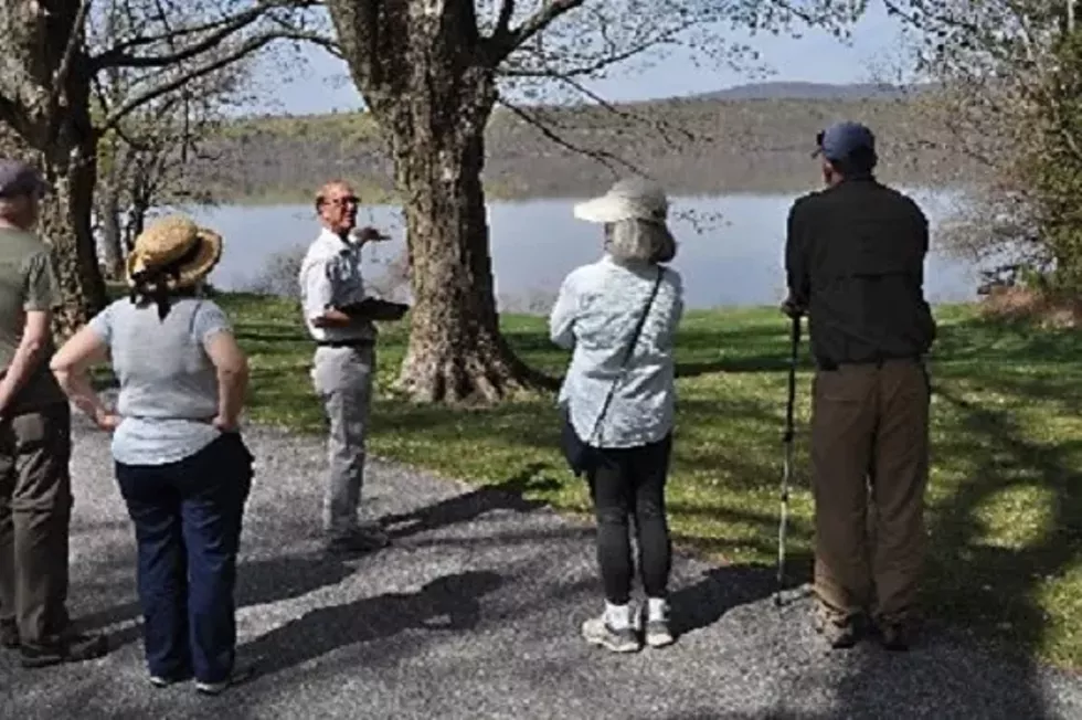 staatsburgh-guided_hike.webp