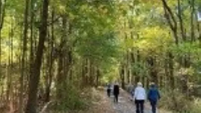 Image: Guided Hike: History Hidden in the Woods