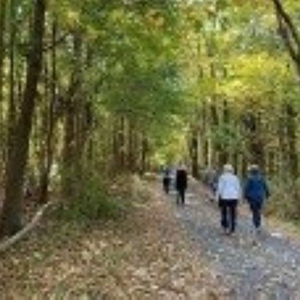 Guided Landscape Walk of Staatsburgh’s Grounds: What You See and What You Don’t See