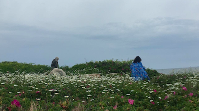Image: GUIDED TOUR WITH WILD GATHER