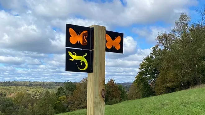 Image: Guided Weekday Walk at the Reserve