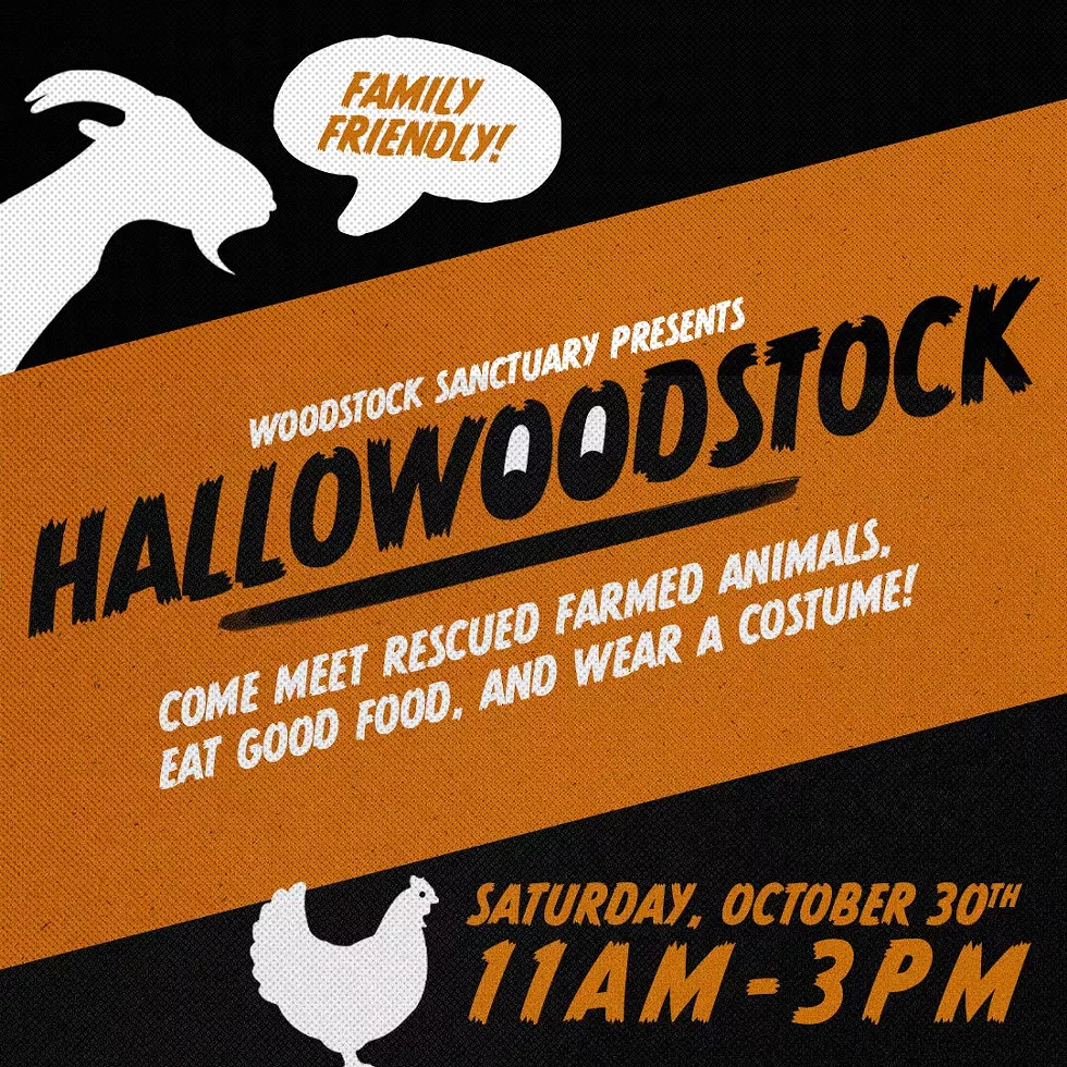 hallowoodstock-2021-square_1_.webp