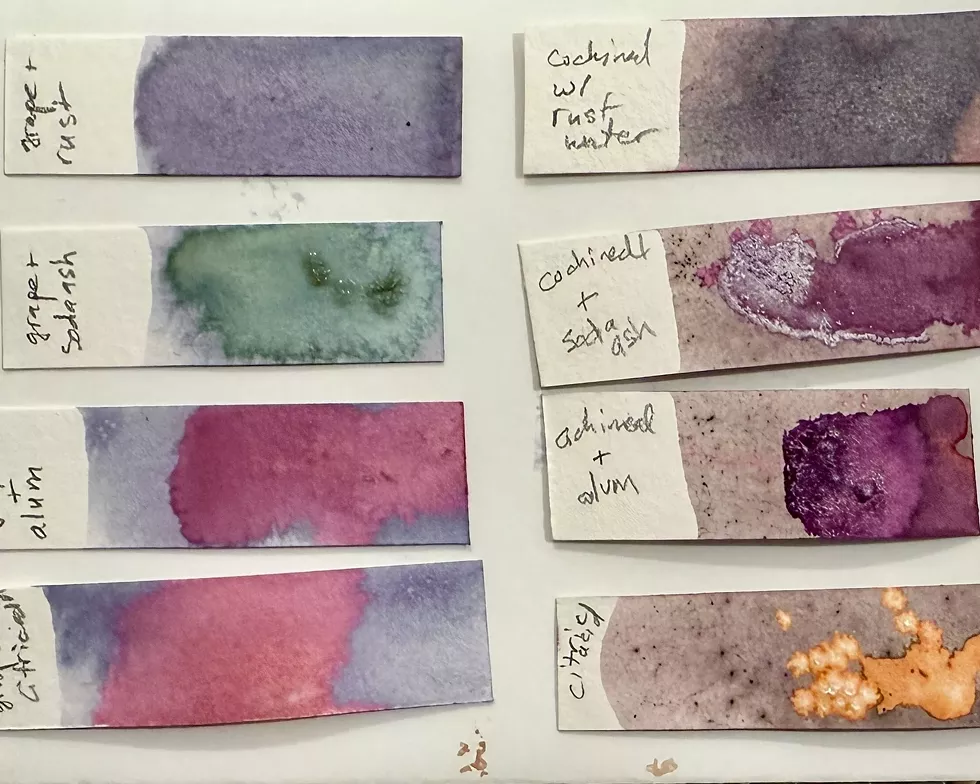 Test Stripes of Natural Inks
