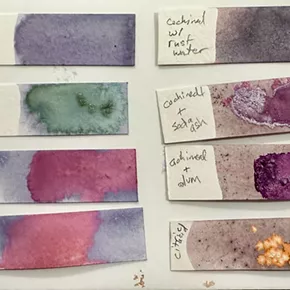 Image: Handmade Natural Inks