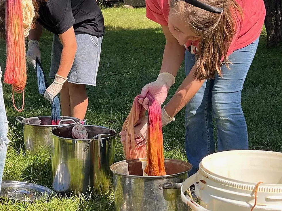 Plant Dyeing Yarn