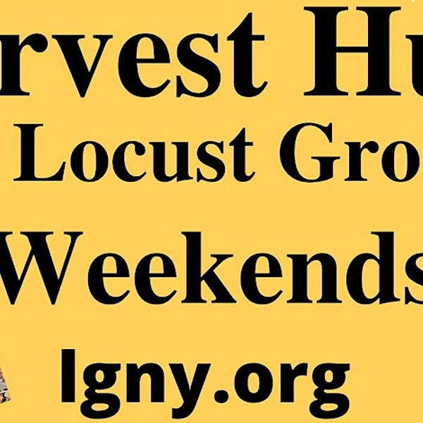 Harvest Hunt at Locust Grove!