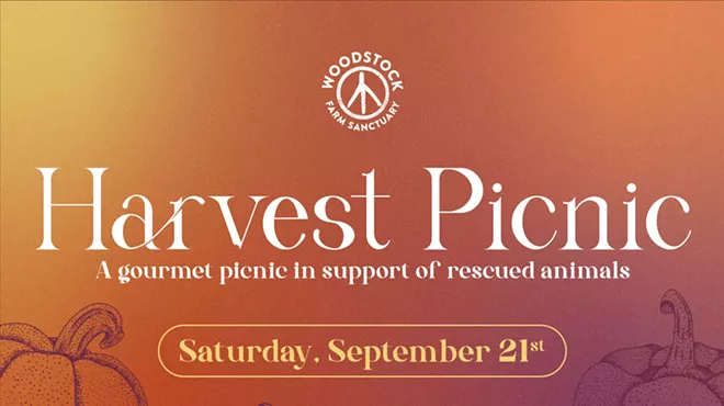Image: Harvest Picnic at Woodstock Farm Sanctuary