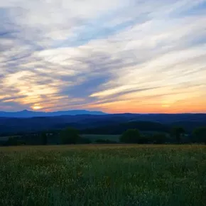 Image: Harvest Sunset Celebration