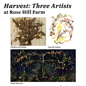 Image: Harvest: Three Artists, an art show