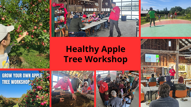 Image: Healthy Apple Tree Workshop at Hurds Family Farm