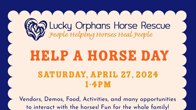 Help a Horse Day at Lucky Orphans Horse Rescue