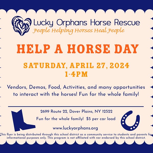 Help a Horse Day at Lucky Orphans Horse Rescue