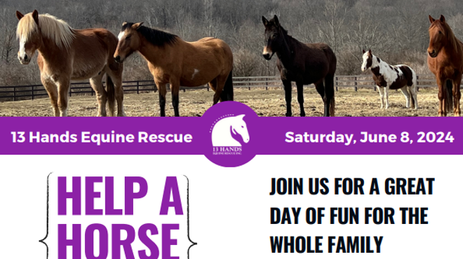HELP A HORSE DAY, June 8, 2024 | 12-6PM