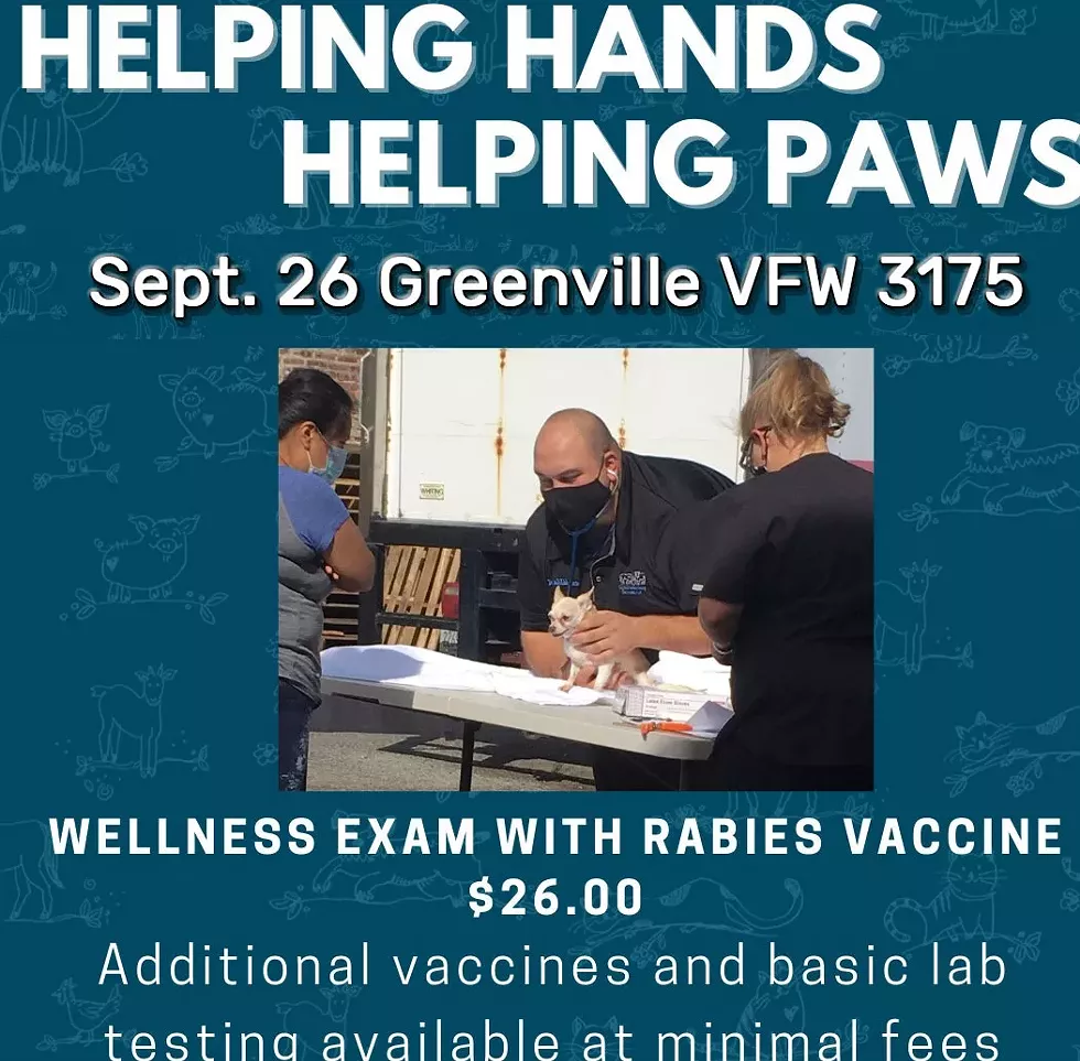 helping-hands.webp