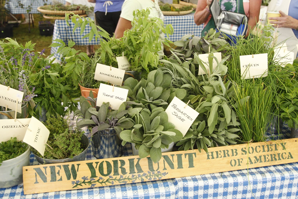 herb-fair-greens.png