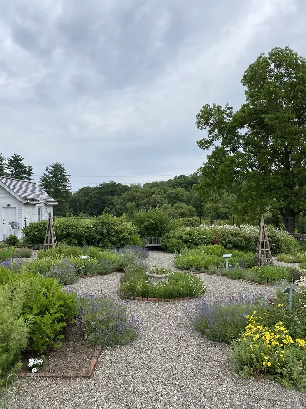 garden.webp