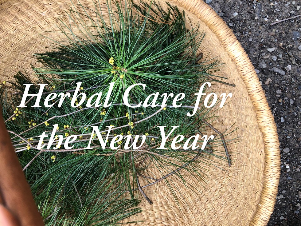 herbal_care_for_the_new_year.jpeg