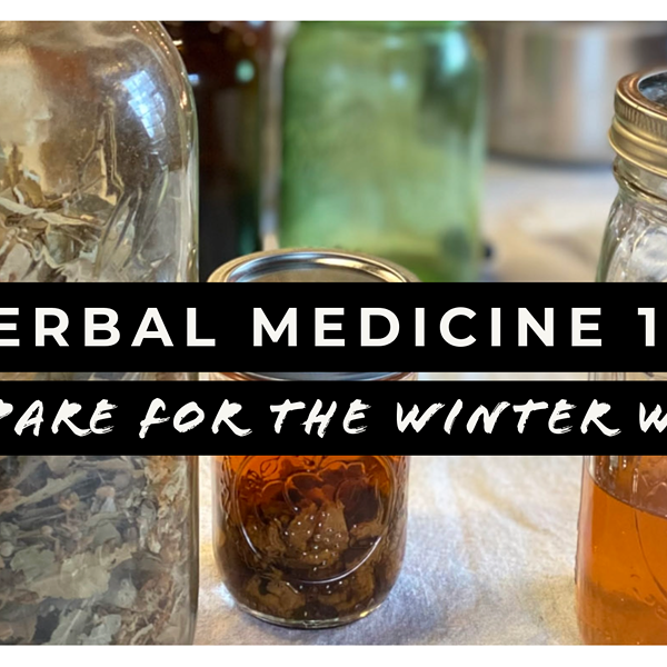 Herbal Medicine 101: Prepare for the Winter Woes