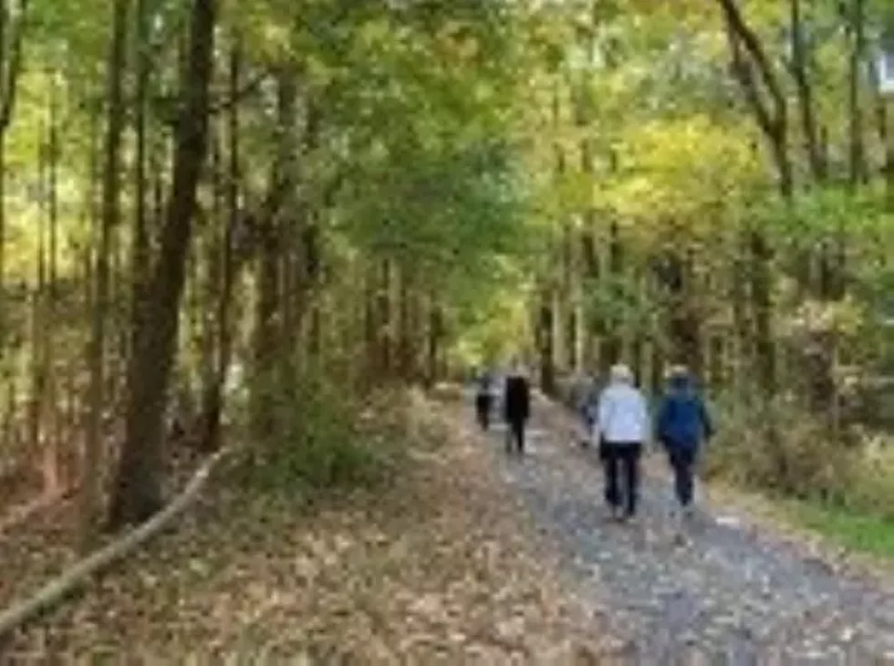 staatsburgh-trail-2.webp
