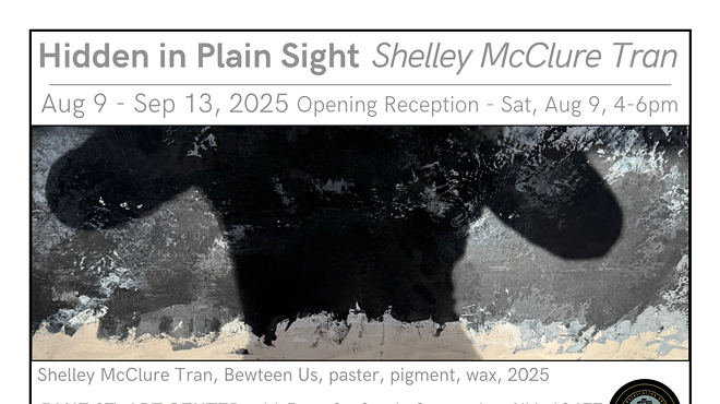 Image: Hidden in Plain Sight - Shelley McClure Tran